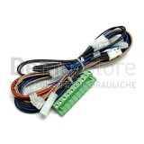 Cavo di Cablaggio Thermorossi per ECOTHERM 3000/4000 | 60006492