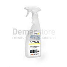 Citrus Pulitore Anticalcare Professional 750ml