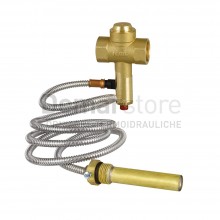 Valvola di Scarico Termico ICMA FF.3/4"