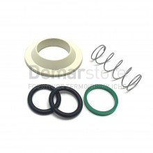 Kit Guarnizioni + Molla per Batteria CATIS