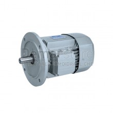 Motore Elettrico per Coclea Caldaie D'ALESSANDRO BS-CS-CSI-CSL-GS | 0.12 Kw | Trifase | A5