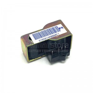 Bobina Valvola SIT 840-845-848 per Radiatore a Gas GAZELLE