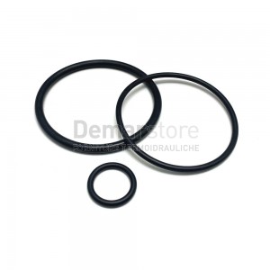 Kit O-Ring di Ricambio per Addolcitore KS10S Honeywell | EK10S-C