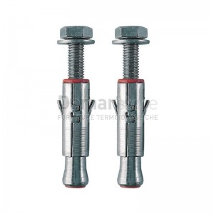 Tasselli ad Espansione per Fissaggi Pesanti 6x60 mm | Ø12 | Pz.2