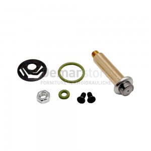 Pistoncino SUNTEC per Elettrovalvola AS | PIAS